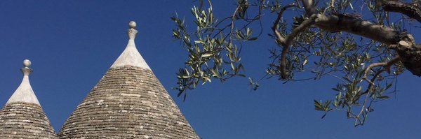 dicandilo Profile Banner