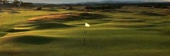 Tom Sudo banner