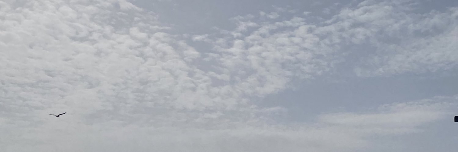ufuksevenn's profile banner image