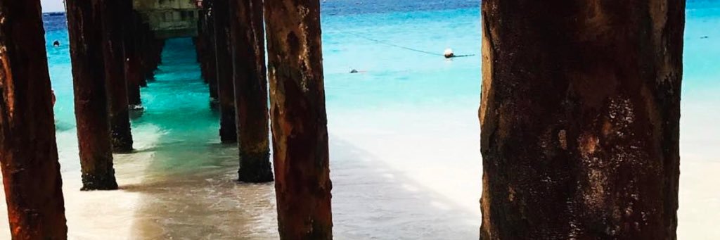 katievklein's profile banner image