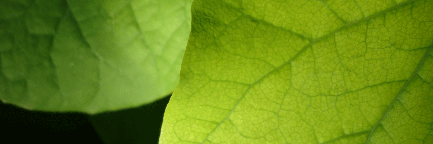 Stockagogo's profile banner image