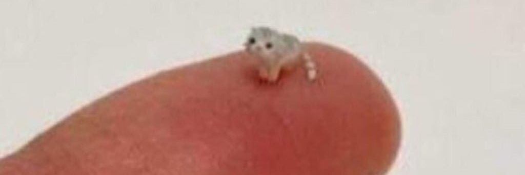 failureEpicFail's profile banner image