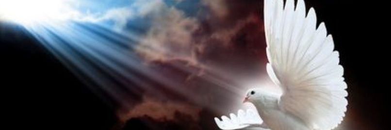 mohamadayad76's profile banner image