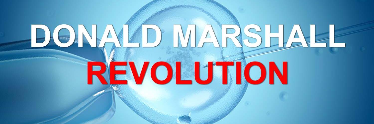 TheDMRevolution's profile banner image