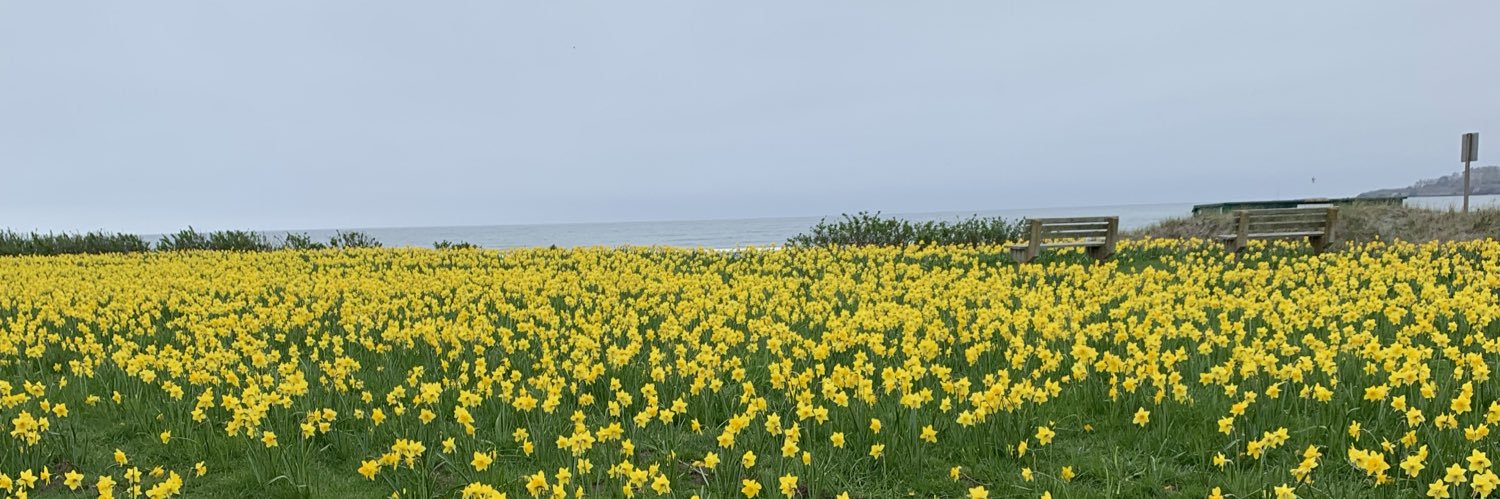 irenetwts's profile banner image