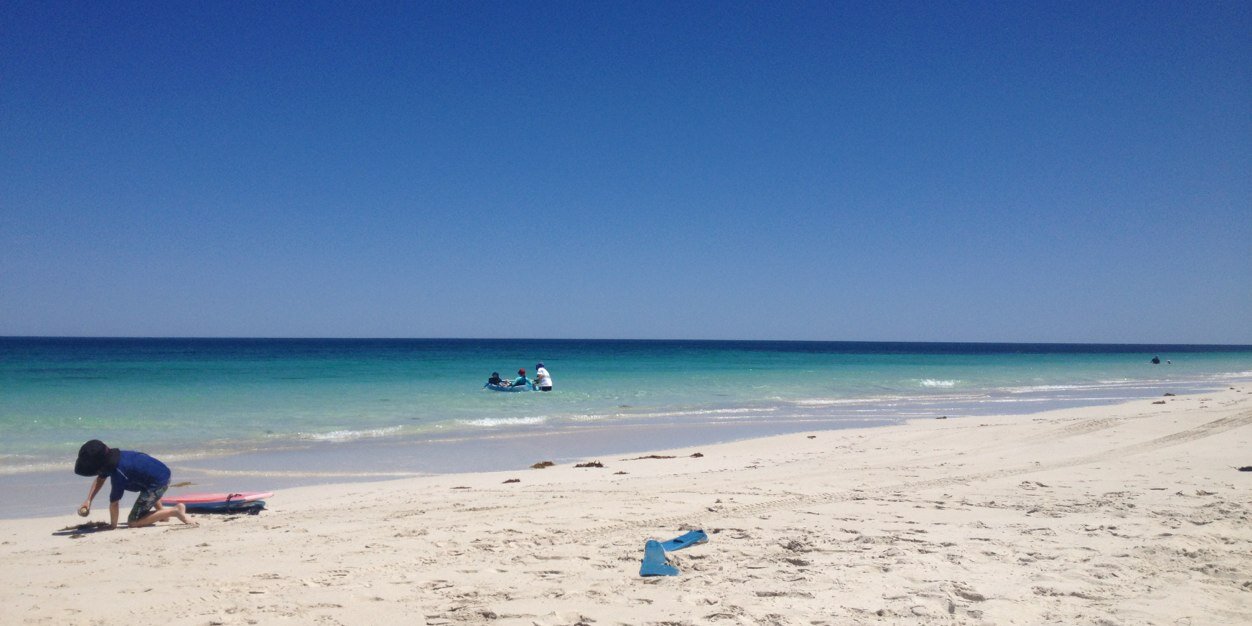 Tania Armstrong banner