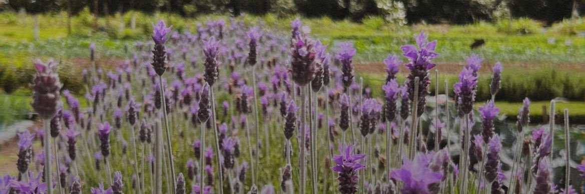 cmmn__'s profile banner image