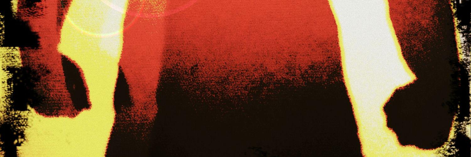AlkoGniuzz's profile banner image