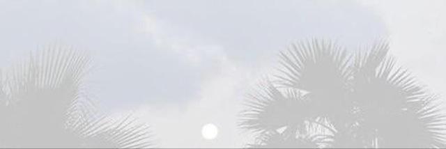eveey__'s profile banner image