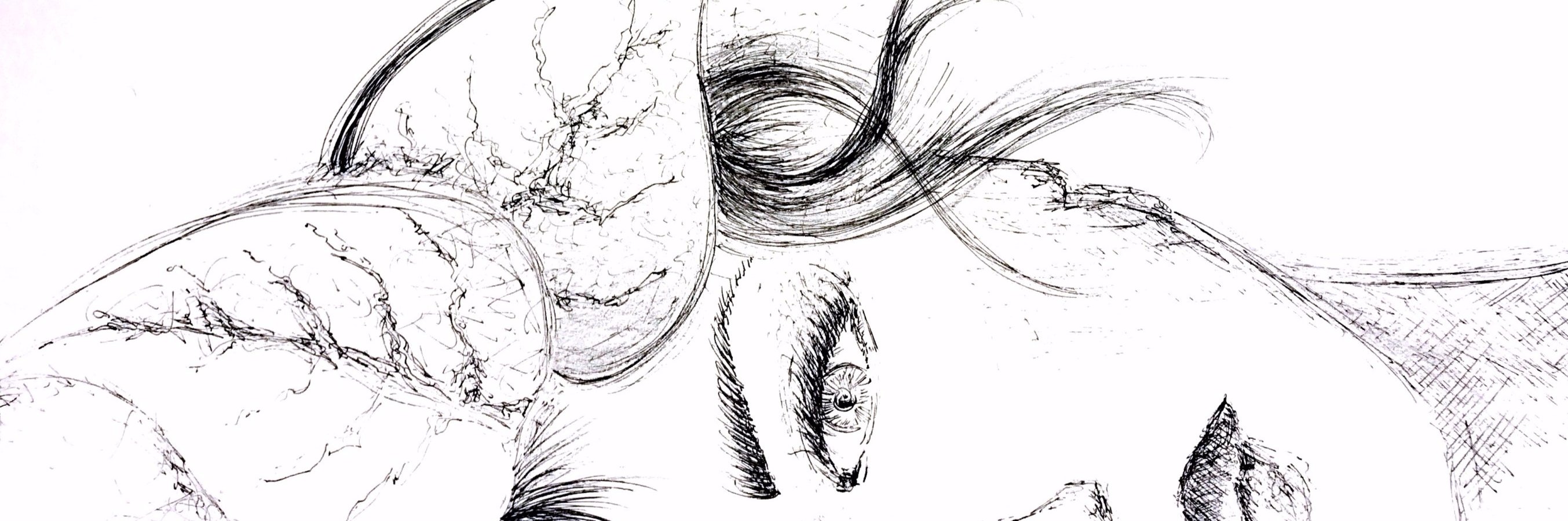 celiavela's profile banner image