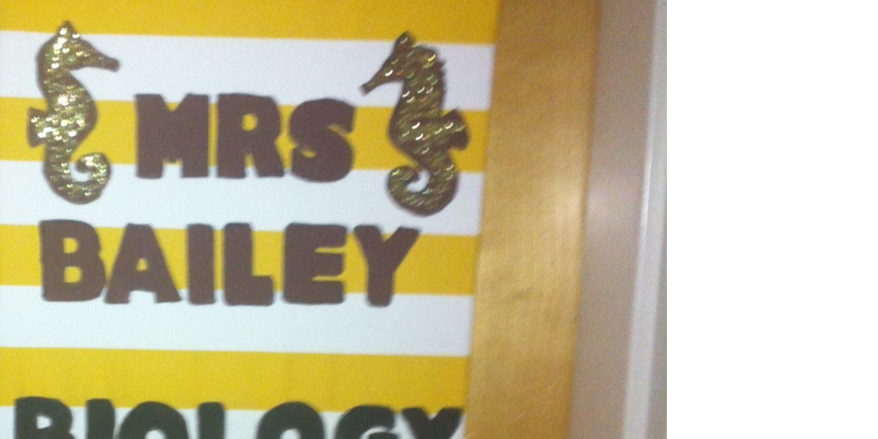 MrsHbailey's profile banner image