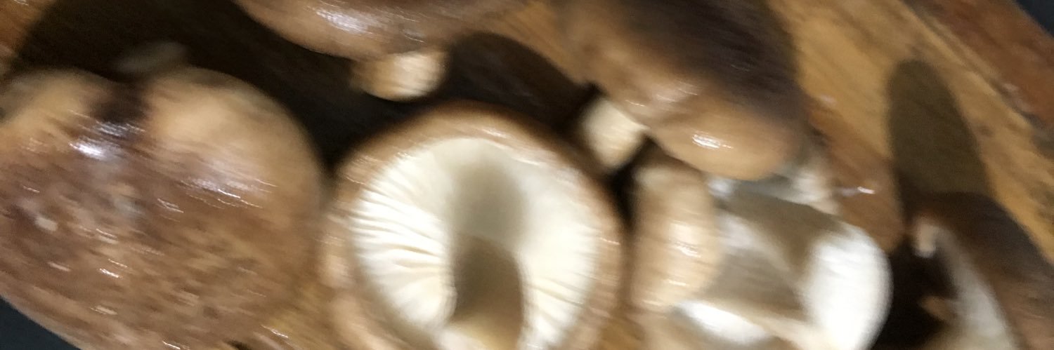 zcamillly's profile banner image
