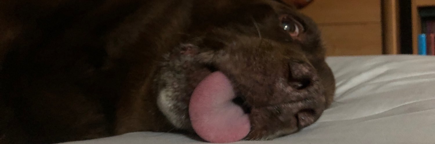 cecealfredo's profile banner image