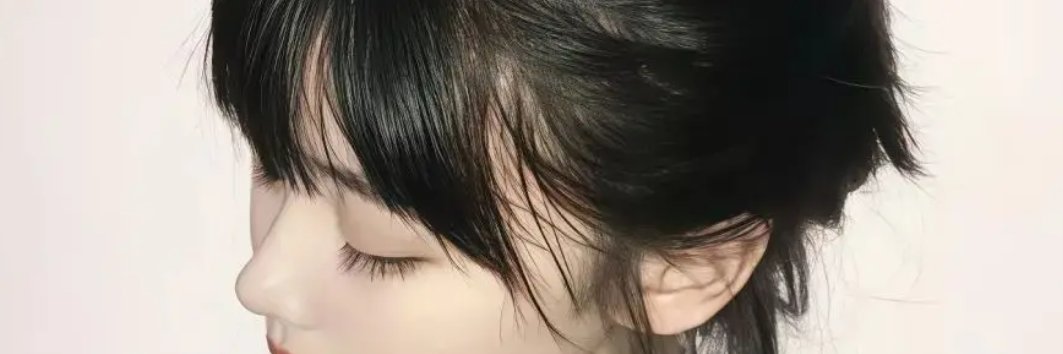 wilmabercx's profile banner image