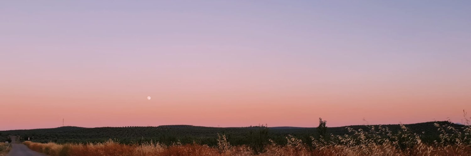 AsuMV's profile banner image