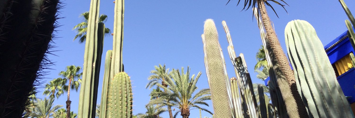ozzyou's profile banner image