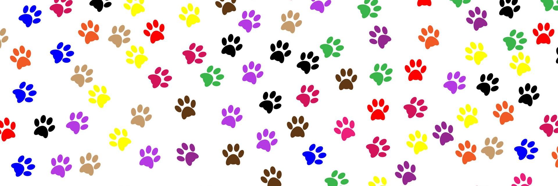 ShopBossyPaws's profile banner image