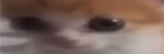 durchfallhaber's profile banner image