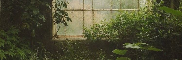 simone banner