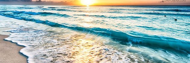Anita L banner