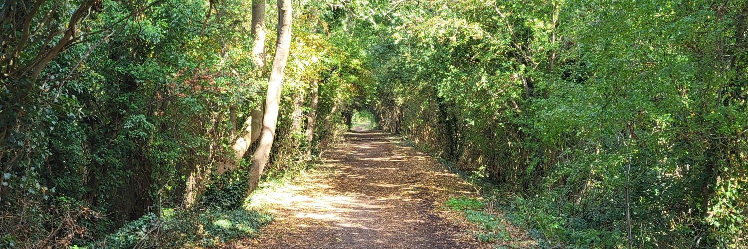 Michael Davidson banner