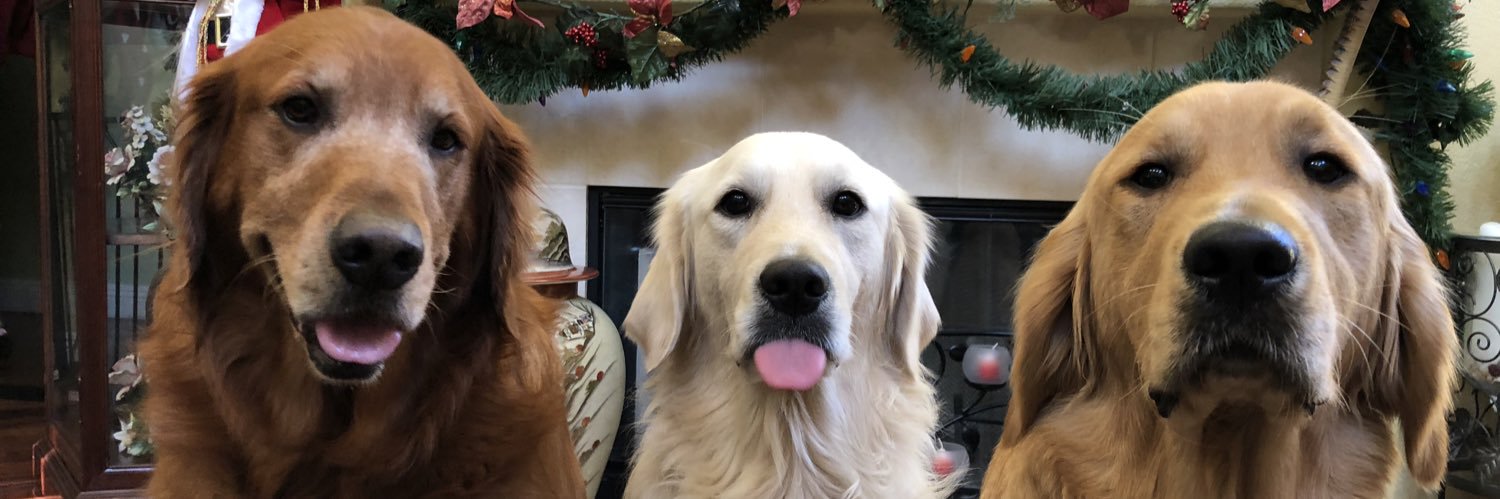 apreezyl's profile banner image