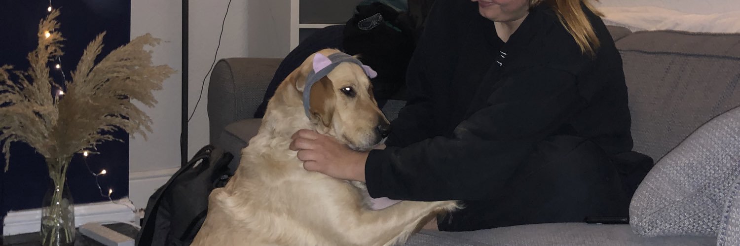 Meg Sutcliffe banner