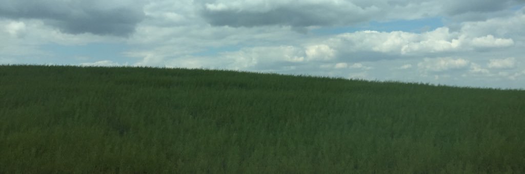 danlundy24's profile banner image