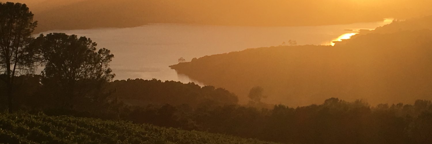 Tony Capocuocco banner