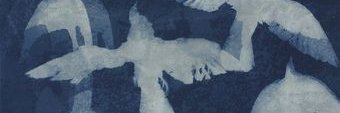 leo banner