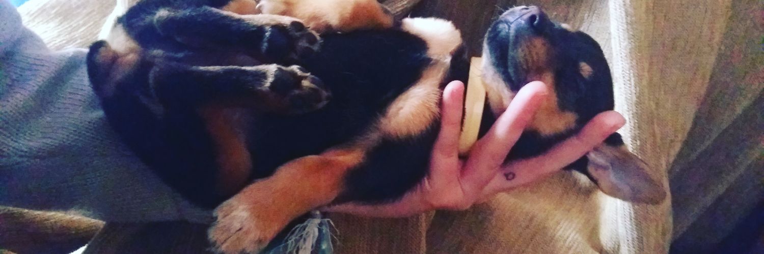 Andrea Ballesteros banner