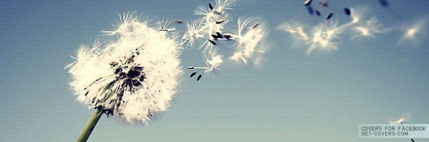 Truthinfo5's profile banner image