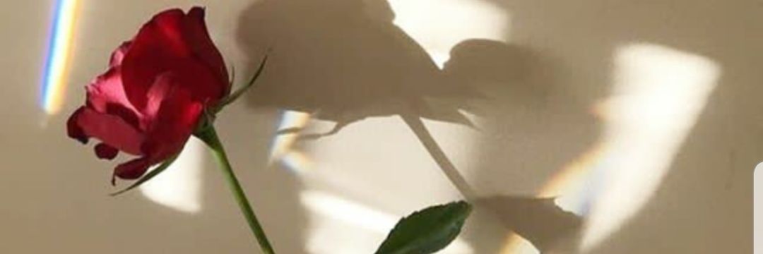 Melb_vm's profile banner image