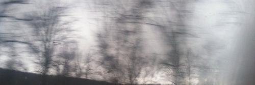 ingridmstgdr's profile banner image