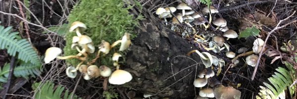 aina_adashynski Profile Banner