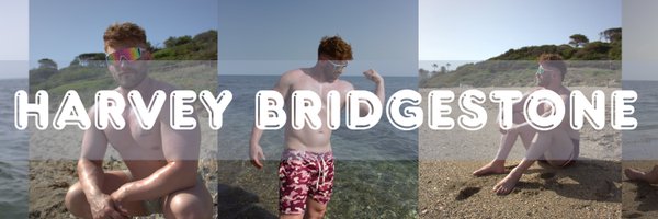 HarvBridgestone Profile Banner