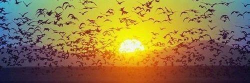 marjinalist_7's profile banner image