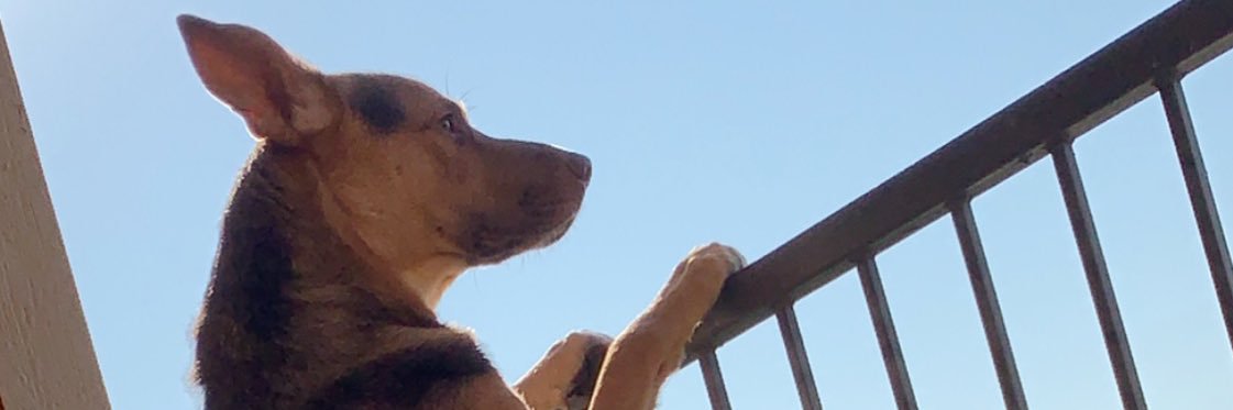 HannahMarie_32's profile banner image