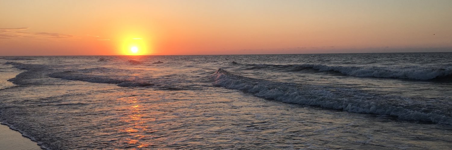 brooketeremi's profile banner image