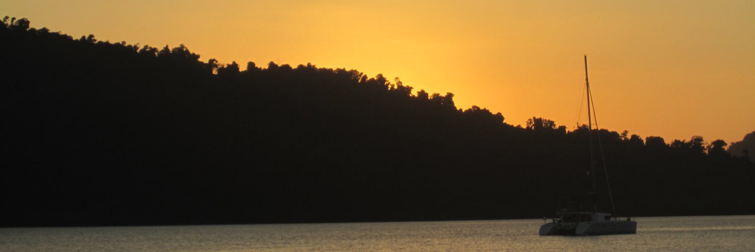 salvictoria89's profile banner image