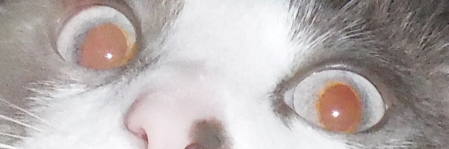 averysbradley's profile banner image
