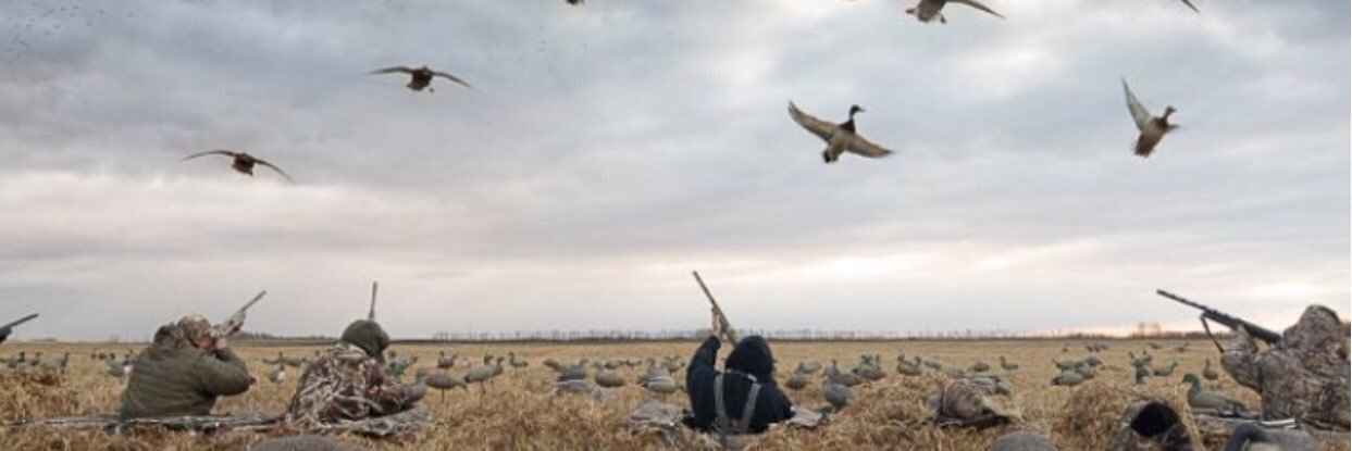 J_Mulder3's profile banner image