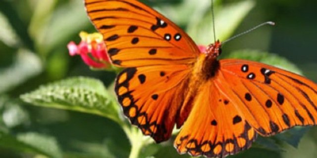 _emilyhackett's profile banner image