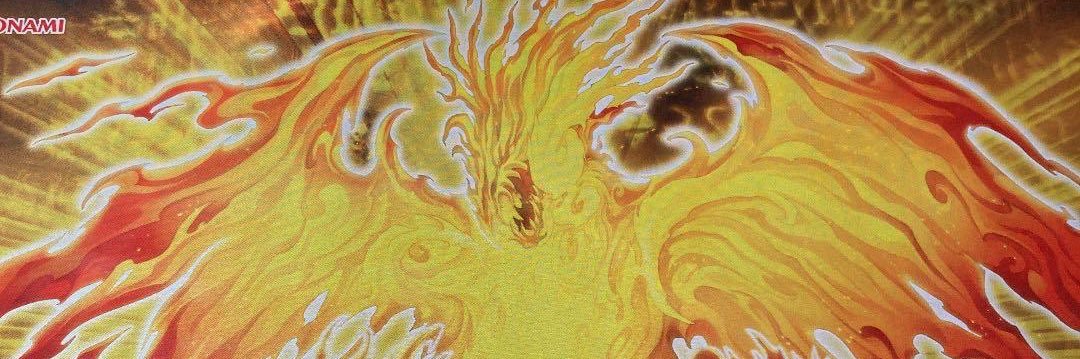 poke2045's profile banner image