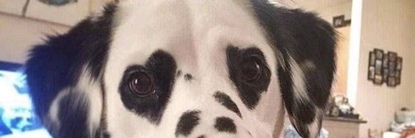 smoltinyharry's profile banner image