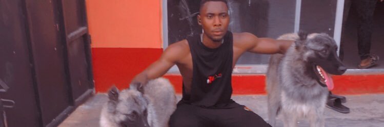 URPETPLUG🐶 banner