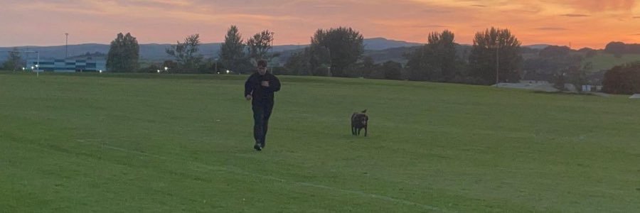 David McKenzie banner