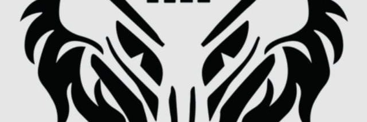 tyspin2_ty's profile banner image