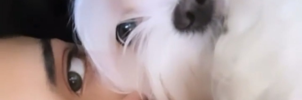 JJxceline's profile banner image