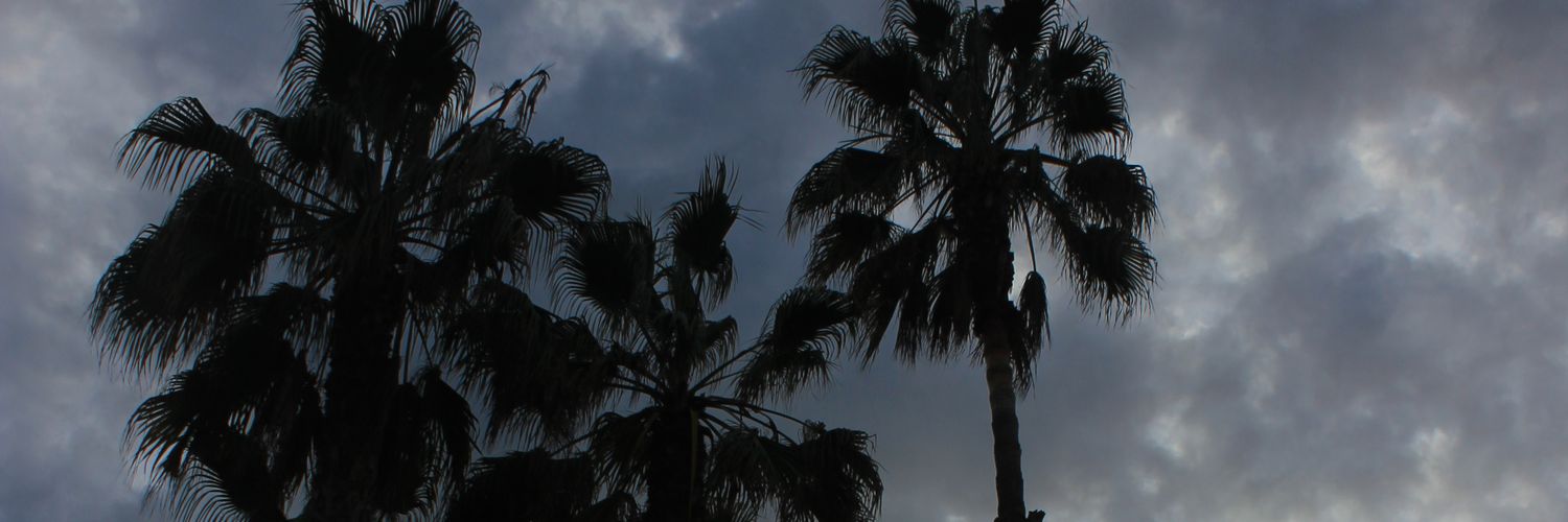 Sthela6's profile banner image